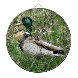 Diana B55 Pato mallard Drake Greenhead en la hierba