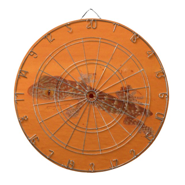 Diana Baby Tokay Gecko (Frente)