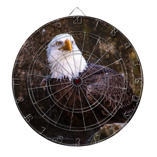 Diana Bald Eagle (Frente)