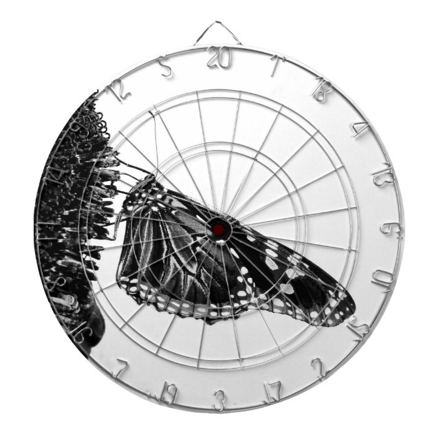 Diana blacq shy (Frente)