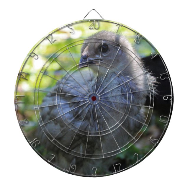 Diana Bluebell (Frente)