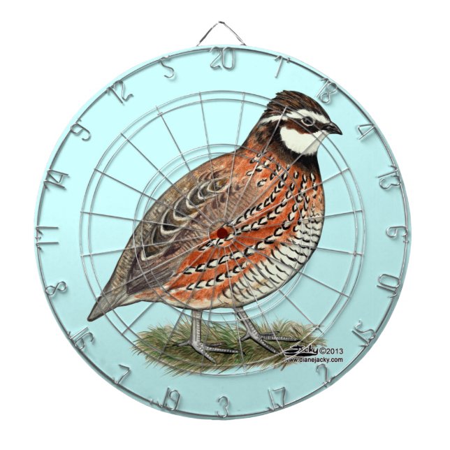 Diana Bobwhite Quail Rooster (Frente)