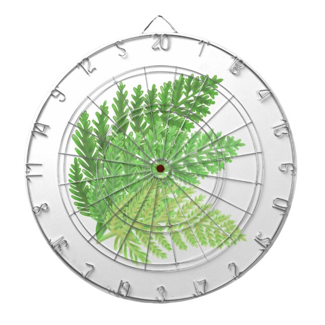 Diana Bosque de bosques de bosques de helechos verdes (Frente)