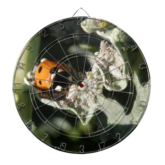 Diana British 7 Spot Ladybug Dart Board (Frente)