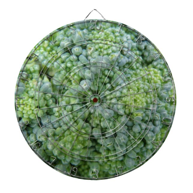 Diana Broccoli Macro Dart Board (Frente)