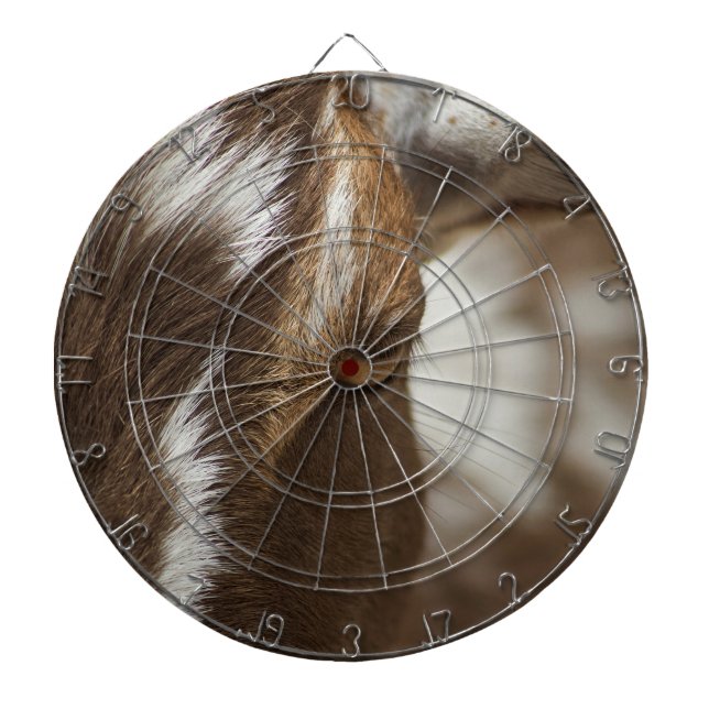 Diana Cabra (Frente)