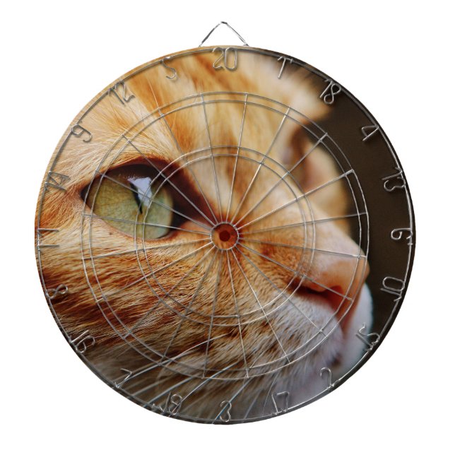 Diana Cara determinada de un gato jengibre (Frente)