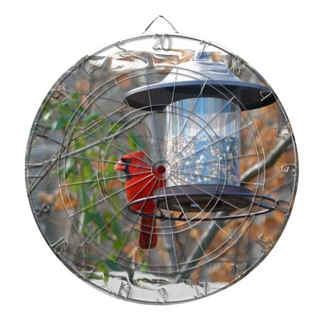 Diana Cardenal masculino (Frente)