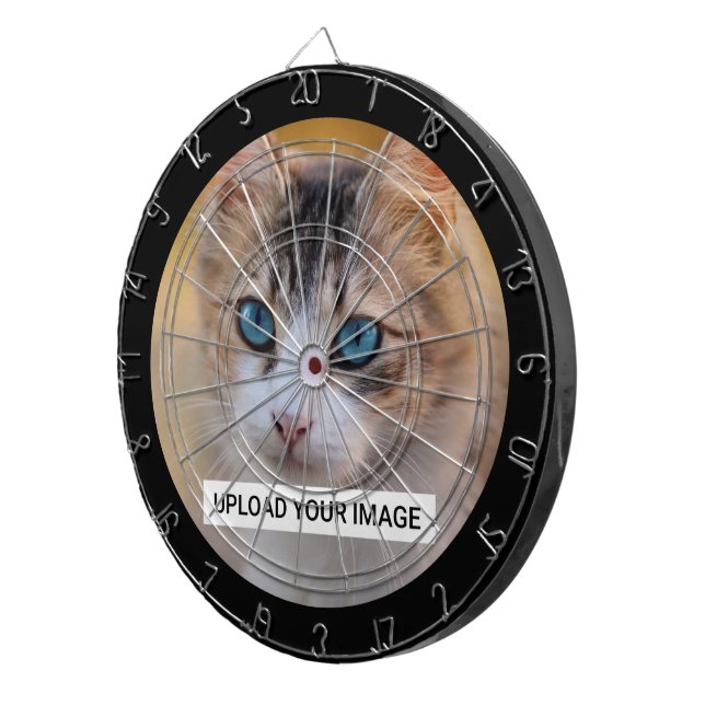 Diana Cargar la foto de un gato lindo (Frente Derecha)