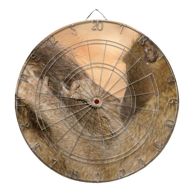 Diana Cebollos (Frente)