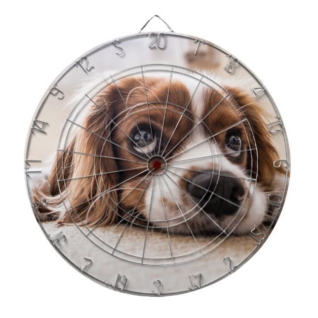 Diana Cocker Spaniel Dog de ojos tristes (Frente)