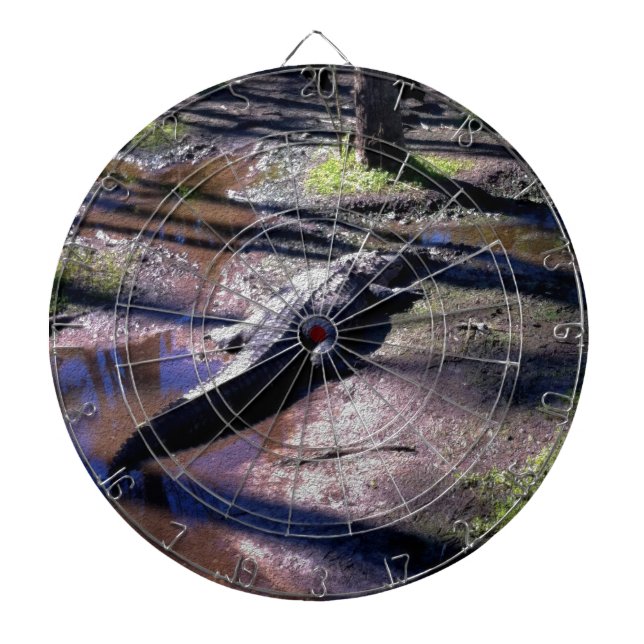 Diana Cocodrilo de la Florida (Frente)