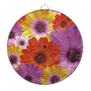 Diana Colorida Medley de las flores africanas de Daisies