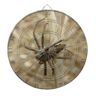 Diana Creepe Crawly Spider Dart Board