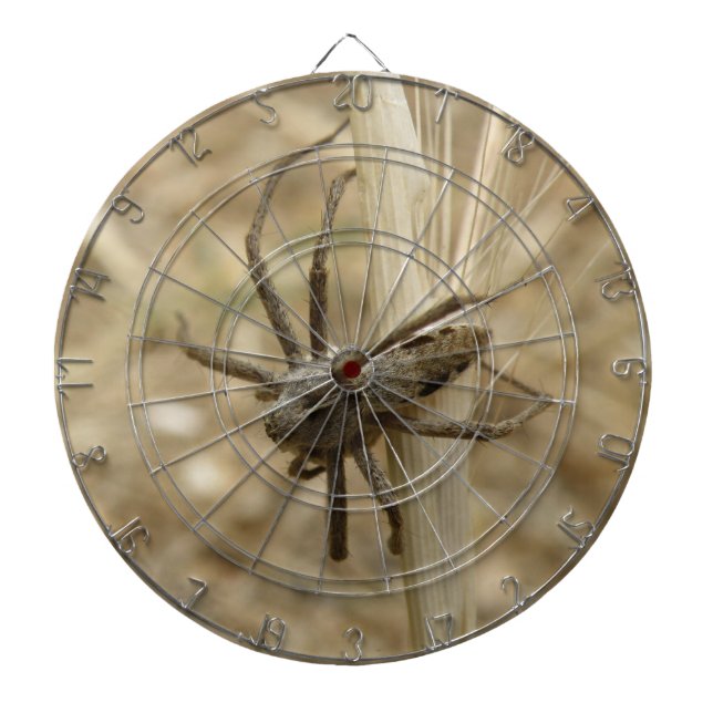 Diana Creepe Crawly Spider Dart Board (Frente)