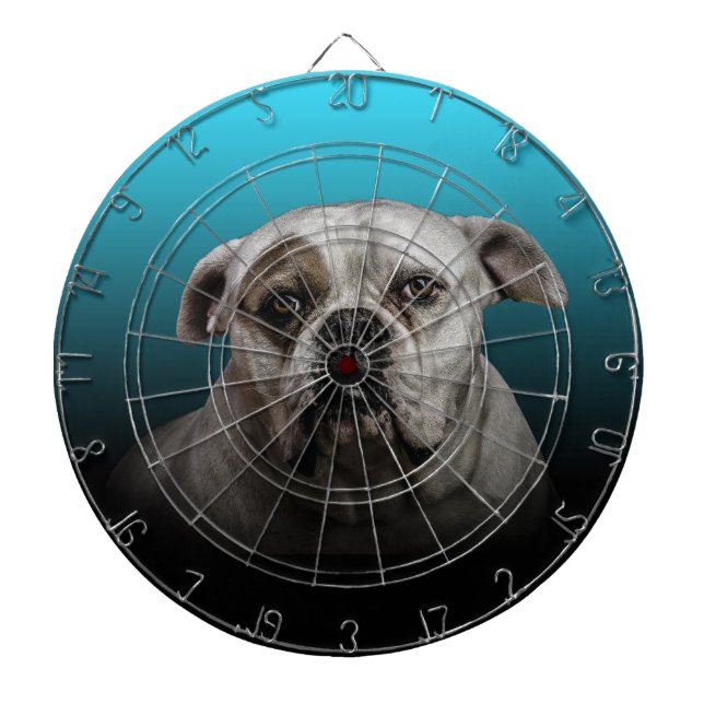 Diana Cute Boxer Dog con fondo de degradado negro azul (Frente)