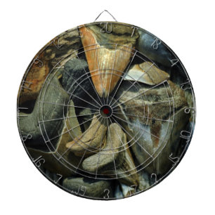 Diana Dartboard fósil de los dientes del tiburón de
