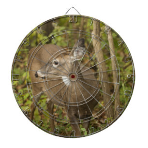 Diana Depósito de cola blanca