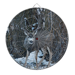 Diana Dólar alto del estante