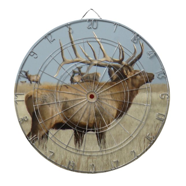 Diana E4 Bull Elk Herd Master (Frente)