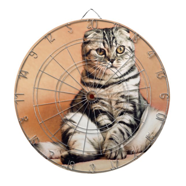 Diana El Gatito Cute Se Extiende (Frente)