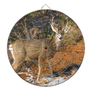 Diana El mirar fijamente del ciervo mula