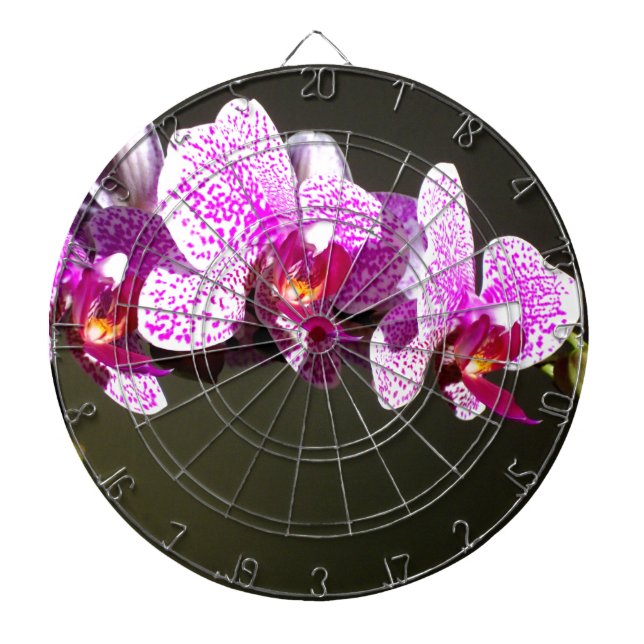 Diana Elegantes orquídeas de flores florales tropicales  (Frente)