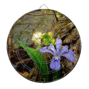 Diana Enanos enanos Iris flor azul morada blanca