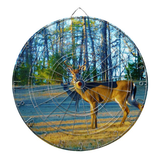 Diana Estadio/Deer Buck, cielo azul brillante (Frente)