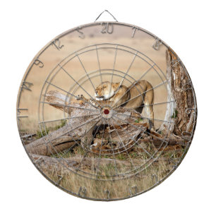 Diana Estiramiento de la leona