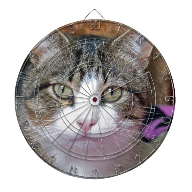 Diana Estoy pensando (Frente)