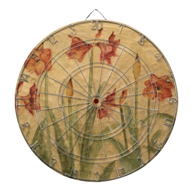 Diana Fila del Amaryllis rojo (Frente)