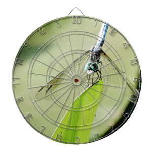 Diana Flauta azul sobre una hoja verde