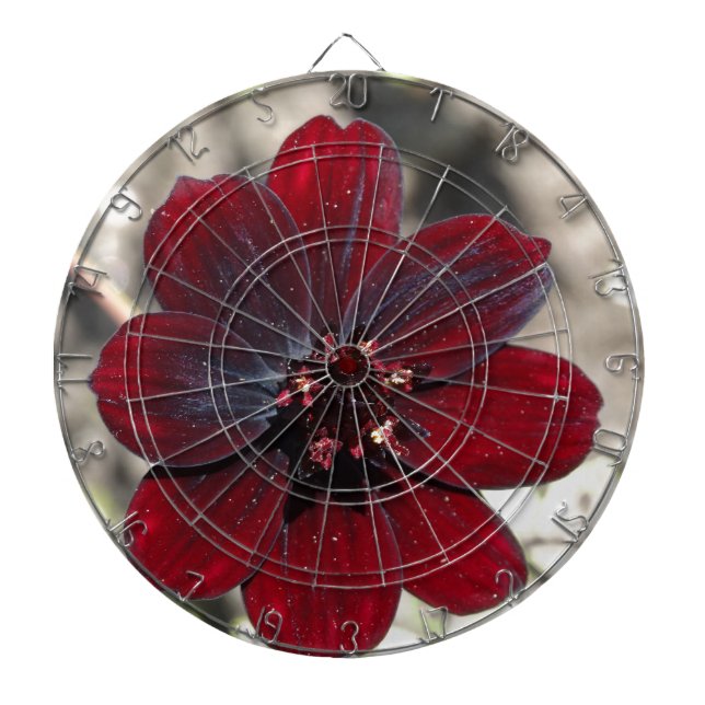 Diana Flor Cosmos de chocolate (Frente)