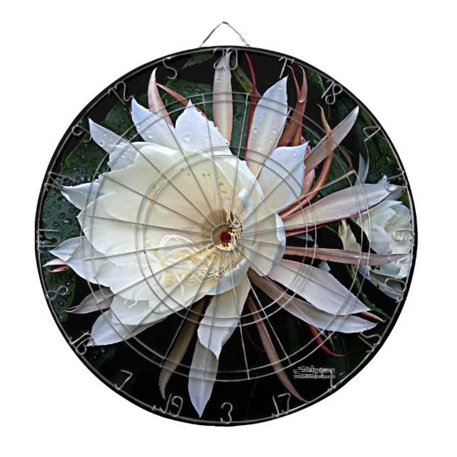 Diana Flor de Cactus Epífita (Frente)