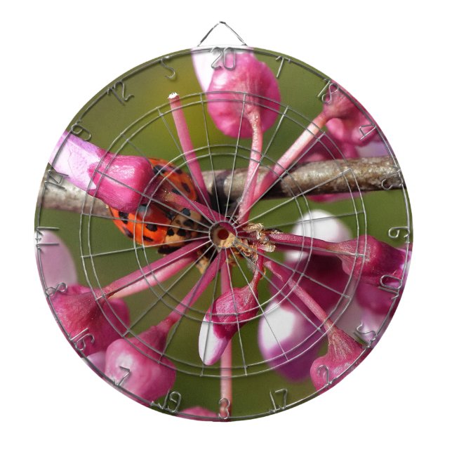 Diana Flor de Redbud con Ladybug (Frente)