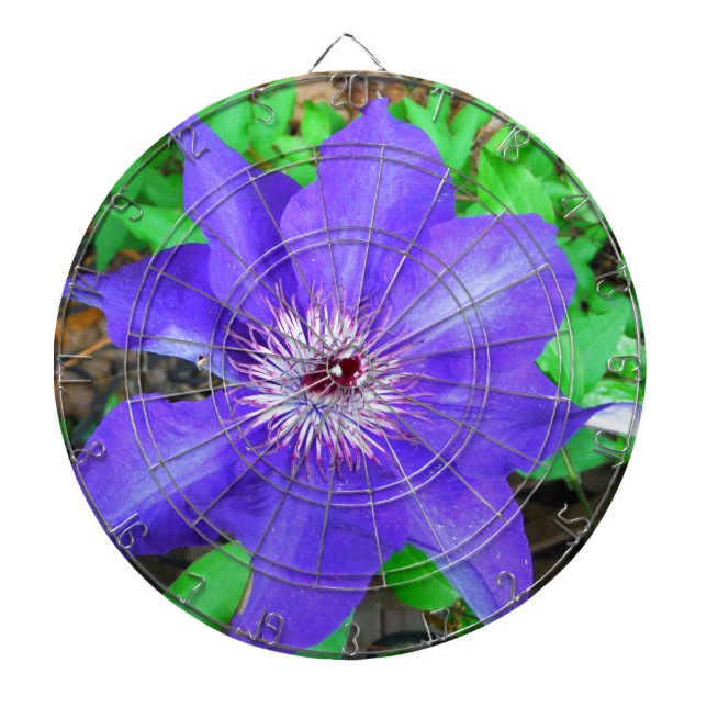 Diana Flor morada de clematis (Frente)