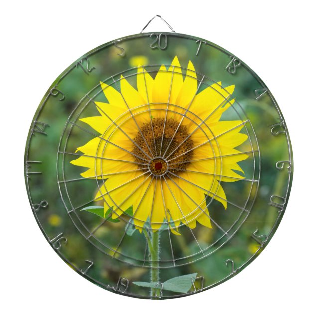 Diana Flor silvestre girasol (Frente)