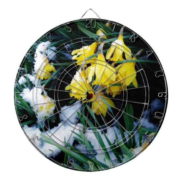 Diana Flores de los Daffodils amarillos en la nieve (Frente)