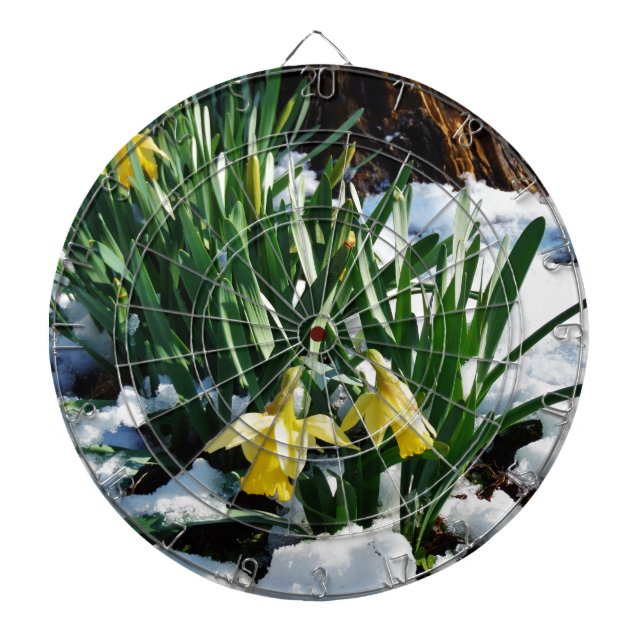 Diana Flores de los Daffodils amarillos en la nieve (Frente)