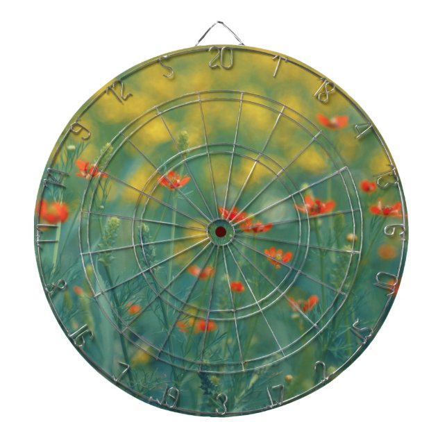 Diana Flores de verano (Campo floral) (Flores rojas) (Frente)