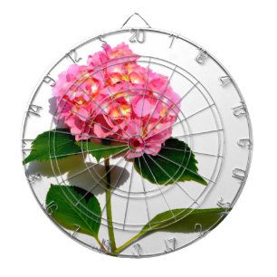 Diana Flores rosas rosadas Hydrangea