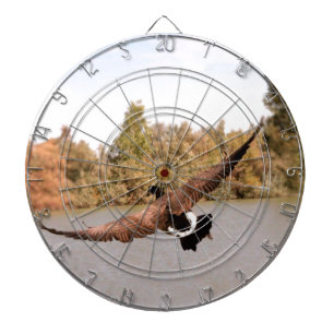 Diana foto de pato volando sobre agua