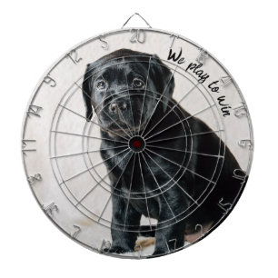 Diana Foto de perro blanco y negro