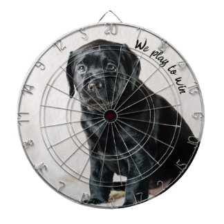 Diana Foto de perro blanco y negro