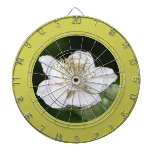 Diana Fotografía de flor de frambuesa blanca de primaver