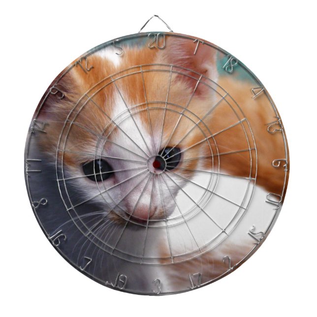 Diana Fotografía de naranja Kitten (Frente)