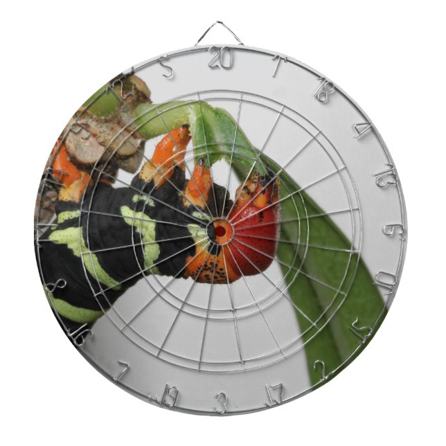 Diana Frangipani Caterpillar Dart (Frente)