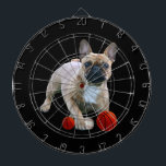 Diana Französische Bulldogge Sprung French Bulldog<br><div class="desc">Französische Bulldoggen sehr sportlich und springt mit Bällen. Die französische Bulldogge ist ein kleiner Molosser ist sehr agil, sportlich und aufgeweckt. Er ist ein Clown unter den Hunderassen und äußerst liebenswert. Der Bully ist sehr kinderlieb und ein treuer Familienhund. Durch seine Größe ist er auch in der Wohnung gut zu...</div>