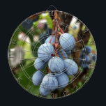 Diana Fruto de espina negra<br><div class="desc">arbusto de la fruta de Blackthorn después de la lluvia</div>